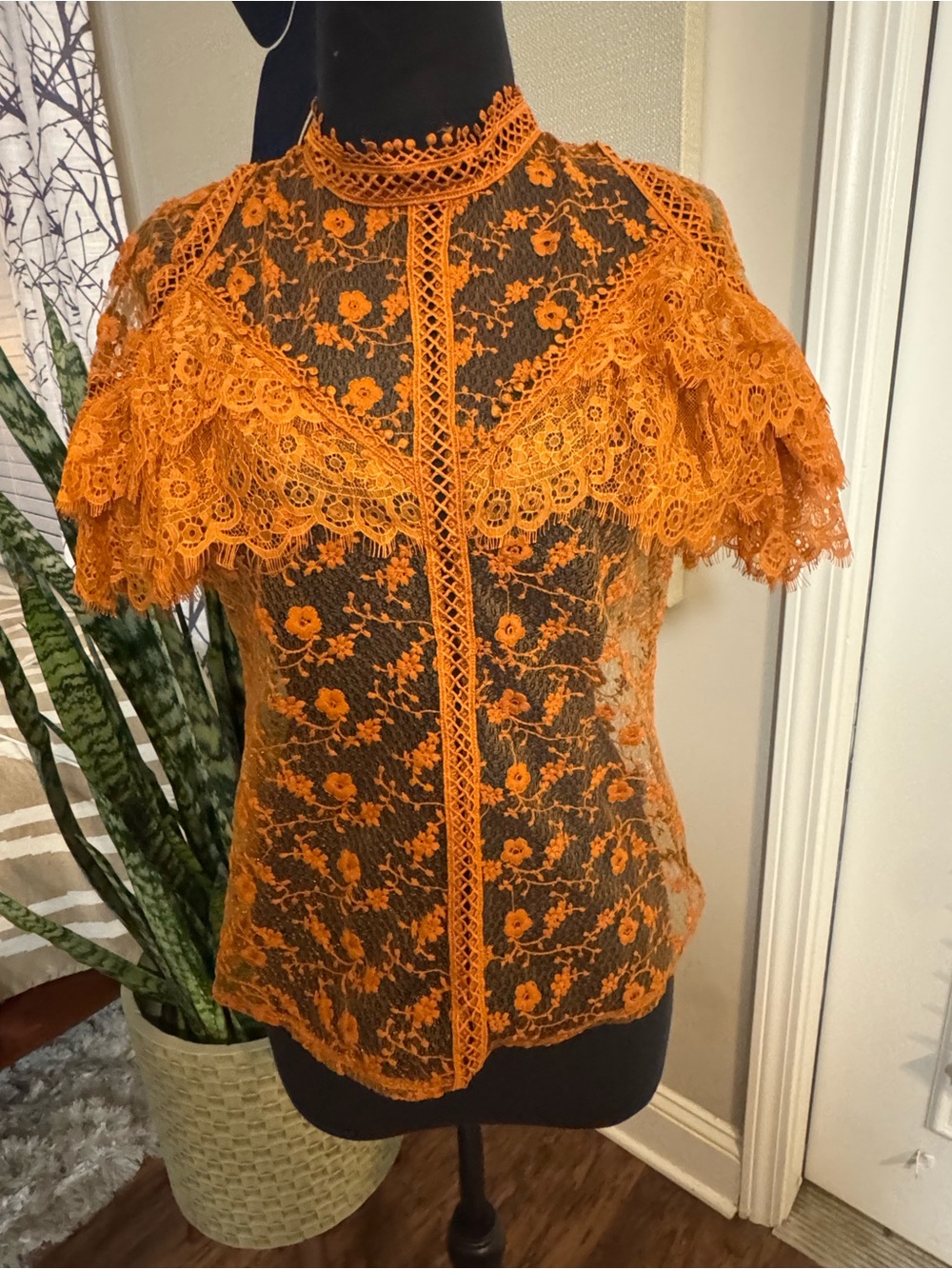 Fashion Nova Orange Lace Flutter Sleeve Blouse